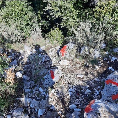 Guesthouse Hamiti Llogara Dukat Εξωτερικό φωτογραφία