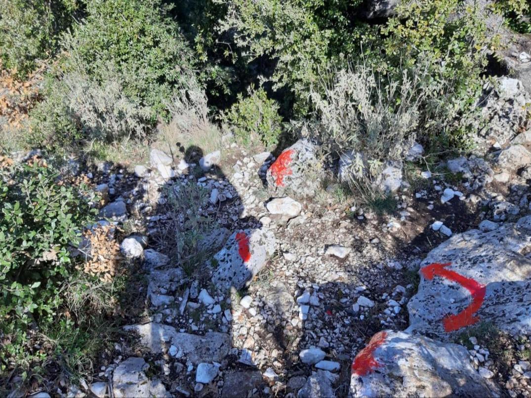 Guesthouse Hamiti Llogara Dukat Εξωτερικό φωτογραφία