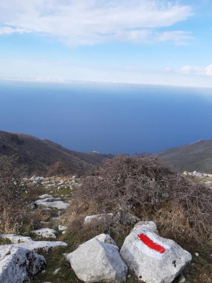 Guesthouse Hamiti Llogara Dukat Εξωτερικό φωτογραφία